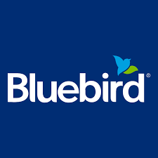 Buy Bluebird Bank Account